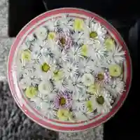 帯廣神社の手水舎