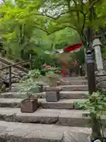 長谷寺(奈良県)