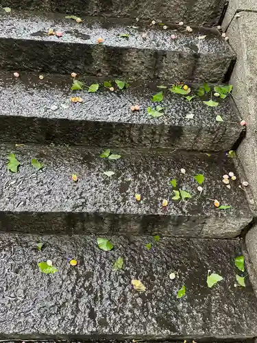 菅原神社(東京都)