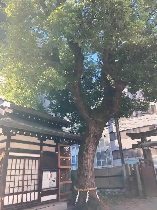 堀川戎神社(大阪府)