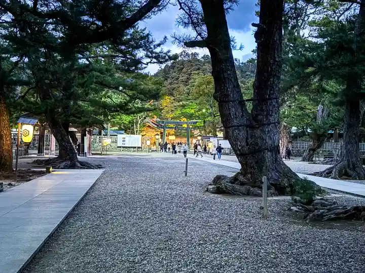 出雲大社(島根県)
