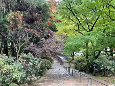室生寺奥の院の{uncategorized: "未分類", other: "その他", undefined: "問題あり", building: "その他建物", grave: "お墓", sacred_gate: "鳥居", guardian: "狛犬", statue: "像", buddha: "仏像", history: "歴史", nature: "自然", garden: "庭園", animal: "動物", pagoda: "塔", temizu: "手水舎", mountain_gate: "山門・神門", sanctuary: "本殿・本堂", subordinate: "末社・摂社", art: "芸術", scenery: "景色", jizo: "地蔵", ema: "絵馬", goshuin: "御朱印", omikuji: "おみくじ", items: "授与品その他", amulet: "お守り", goshuincho: "御朱印帳", eats: "食事", festival: "お祭り", votive_dance: "神楽", shichigosan: "七五三参", wedding: "結婚式", experience: "体験その他", initially: "初詣", around: "周辺", anti_infection: "感染症対策"}