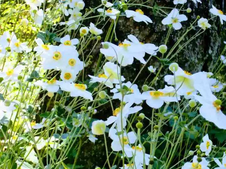 青龍山 吉祥寺(群馬県)