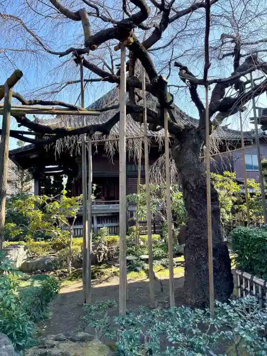 玉蔵院(埼玉県)