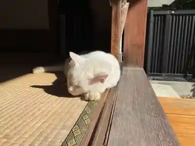 宝寿院(愛知県)