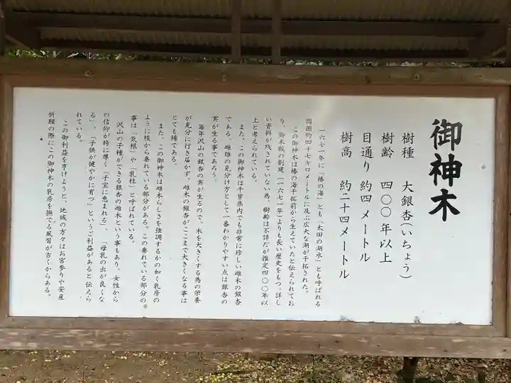 鎌数伊勢大神宮(千葉県)
