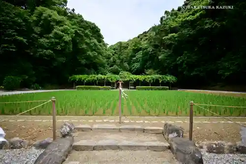 猿田彦神社の庭園