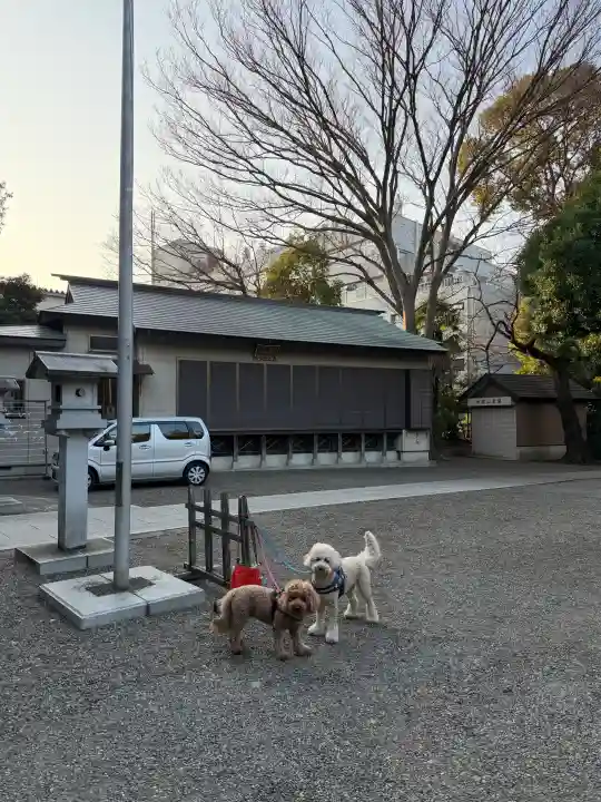 日吉神社の{uncategorized: "未分類", other: "その他", undefined: "問題あり", building: "その他建物", grave: "お墓", sacred_gate: "鳥居", guardian: "狛犬", statue: "像", buddha: "仏像", history: "歴史", nature: "自然", garden: "庭園", animal: "動物", pagoda: "塔", temizu: "手水舎", mountain_gate: "山門・神門", sanctuary: "本殿・本堂", subordinate: "末社・摂社", art: "芸術", scenery: "景色", jizo: "地蔵", ema: "絵馬", goshuin: "御朱印", omikuji: "おみくじ", items: "授与品その他", amulet: "お守り", goshuincho: "御朱印帳", eats: "食事", festival: "お祭り", votive_dance: "神楽", shichigosan: "七五三参", wedding: "結婚式", experience: "体験その他", initially: "初詣", around: "周辺", anti_infection: "感染症対策"}