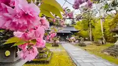 養父神社(兵庫県)