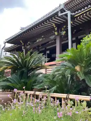 浄土宗南命山善光寺の本殿・本堂