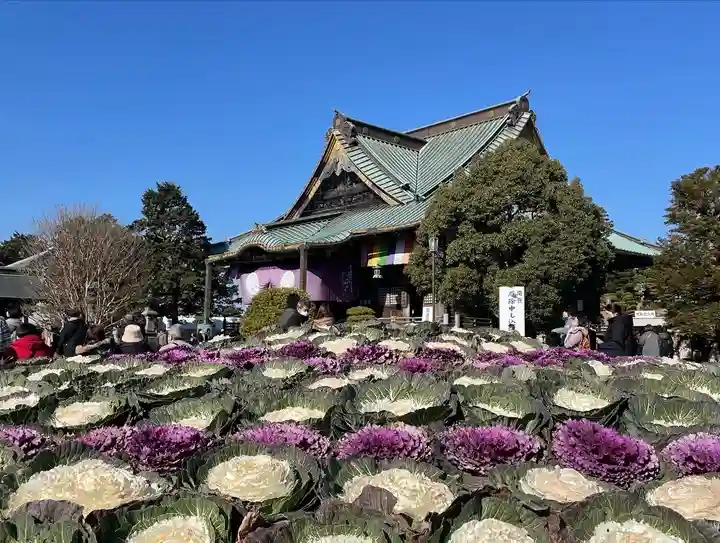 成田山新勝寺(千葉県)