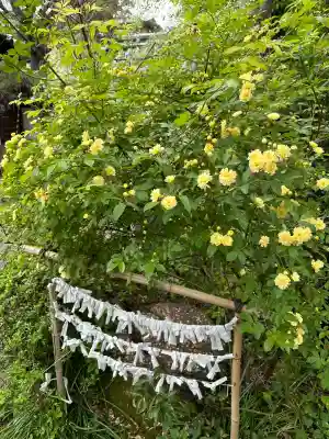 漢國神社(奈良県)