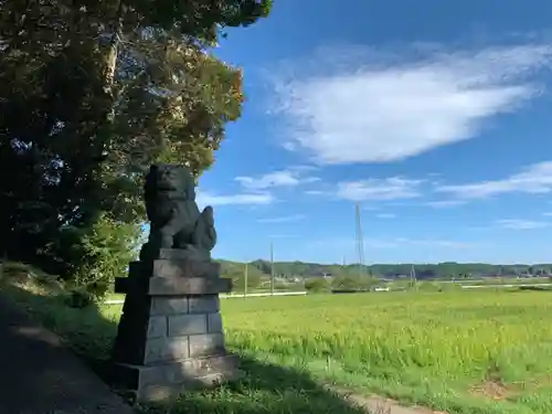 天照大神社の狛犬