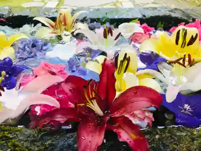 柳津虚空蔵尊 寳性院の手水舎