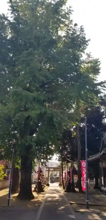柴又八幡神社の鳥居