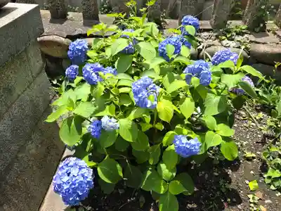 神明社(露橋神明社)(愛知県)