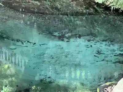 泉神社(茨城県)