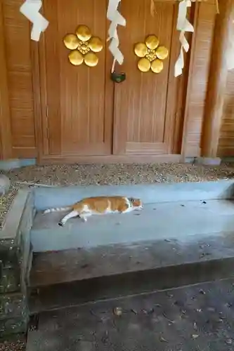 上宮天満宮の動物