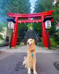 愛宕神社の動物