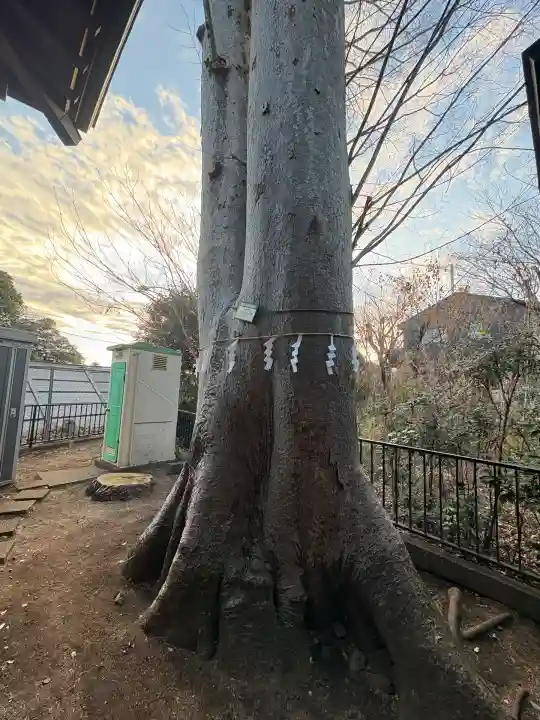 池ノ上神社(東京都)