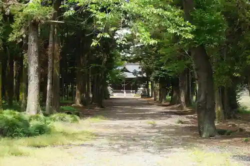 桜町二宮神社の自然