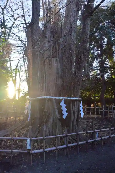 大國魂神社(東京都)