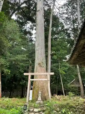 丹生大師 神宮寺(三重県)