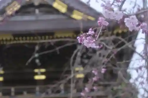 西新井大師総持寺(東京都)