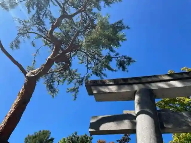 彌彦神社 (伊夜日子神社)の自然