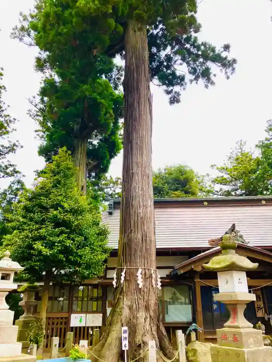 山倉大神(千葉県)