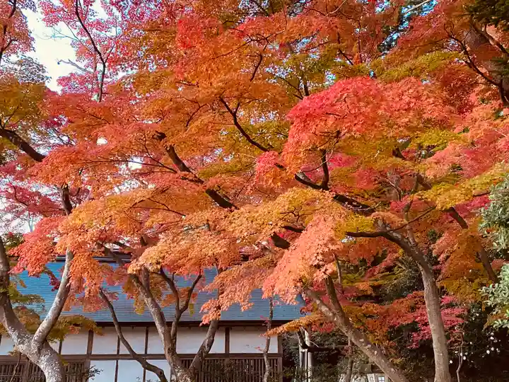 志波彦神社・鹽竈神社の自然