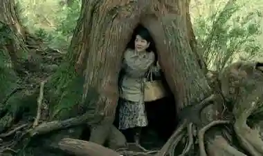 戸隠神社奥社の自然