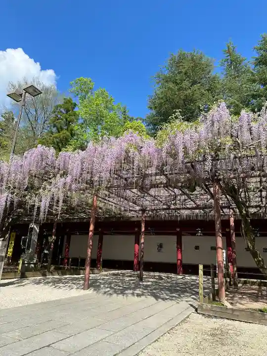 笠間稲荷神社(茨城県)