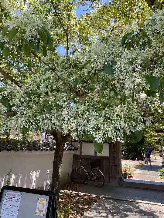 井際山 如意輪寺(愛知県)