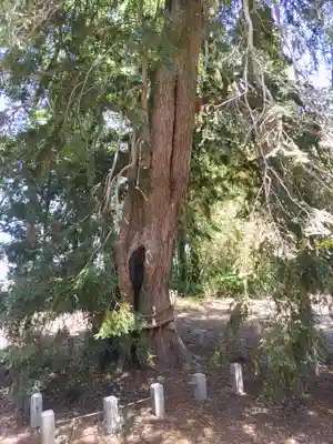 小宅八幡神社(栃木県)