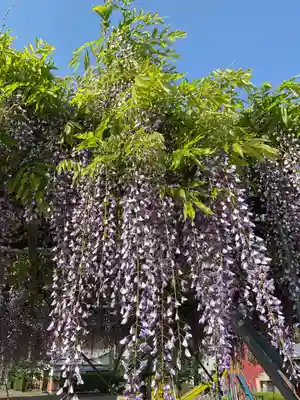 正眼寺(愛知県)