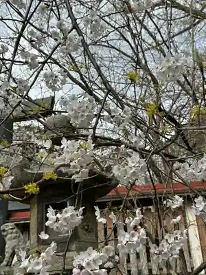 金崎宮(福井県)