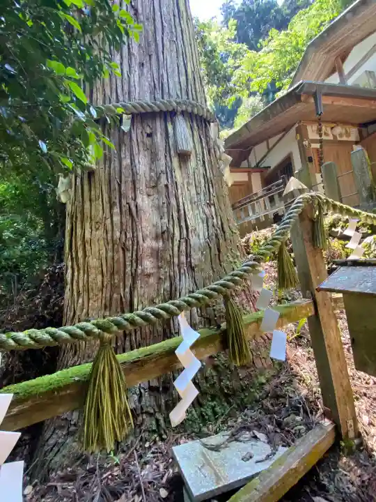 鞍馬寺(京都府)
