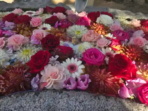 浄誓寺の{uncategorized: "未分類", other: "その他", undefined: "問題あり", building: "その他建物", grave: "お墓", sacred_gate: "鳥居", guardian: "狛犬", statue: "像", buddha: "仏像", history: "歴史", nature: "自然", garden: "庭園", animal: "動物", pagoda: "塔", temizu: "手水舎", mountain_gate: "山門・神門", sanctuary: "本殿・本堂", subordinate: "末社・摂社", art: "芸術", scenery: "景色", jizo: "地蔵", ema: "絵馬", goshuin: "御朱印", omikuji: "おみくじ", items: "授与品その他", amulet: "お守り", goshuincho: "御朱印帳", eats: "食事", festival: "お祭り", votive_dance: "神楽", shichigosan: "七五三参", wedding: "結婚式", experience: "体験その他", initially: "初詣", around: "周辺", anti_infection: "感染症対策"}