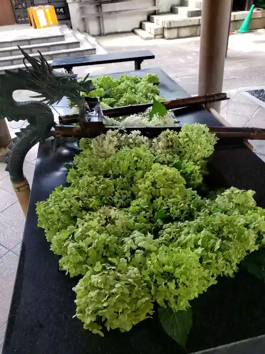 熊野神社(東京都)