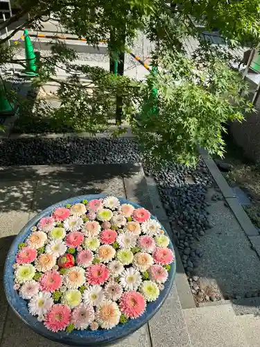 行田八幡神社の手水