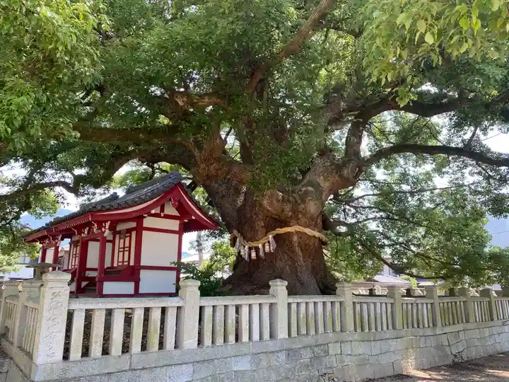善通寺(香川県)