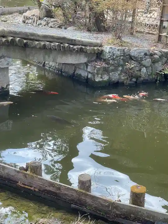 梅宮大社の動物