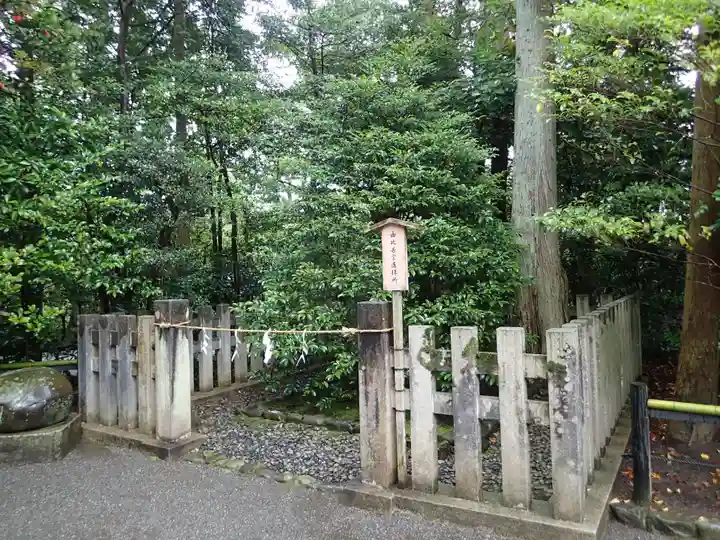 鶴岡八幡宮の自然