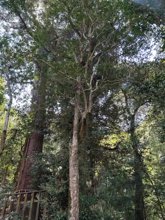 八重垣神社(島根県)