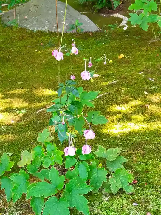 詩仙堂(丈山寺)(京都府)