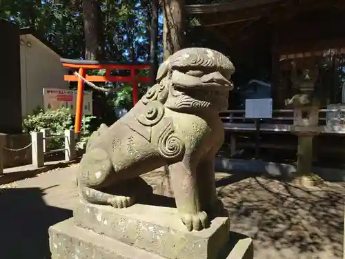 西堀氷川神社の狛犬
