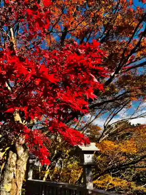 大山阿夫利神社(神奈川県)