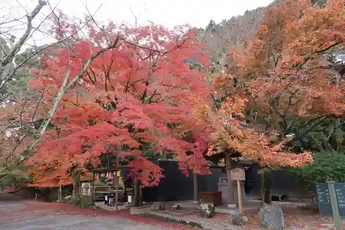 園城寺（三井寺）(滋賀県)