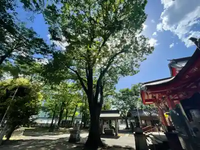 戸部杉山神社の{uncategorized: "未分類", other: "その他", undefined: "問題あり", building: "その他建物", grave: "お墓", sacred_gate: "鳥居", guardian: "狛犬", statue: "像", buddha: "仏像", history: "歴史", nature: "自然", garden: "庭園", animal: "動物", pagoda: "塔", temizu: "手水舎", mountain_gate: "山門・神門", sanctuary: "本殿・本堂", subordinate: "末社・摂社", art: "芸術", scenery: "景色", jizo: "地蔵", ema: "絵馬", goshuin: "御朱印", omikuji: "おみくじ", items: "授与品その他", amulet: "お守り", goshuincho: "御朱印帳", eats: "食事", festival: "お祭り", votive_dance: "神楽", shichigosan: "七五三参", wedding: "結婚式", experience: "体験その他", initially: "初詣", around: "周辺", anti_infection: "感染症対策"}